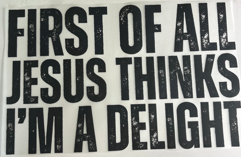 Jesus Thinks I’m A Delight Shirt