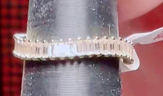 Lumina PreOrder Size 9 Gold