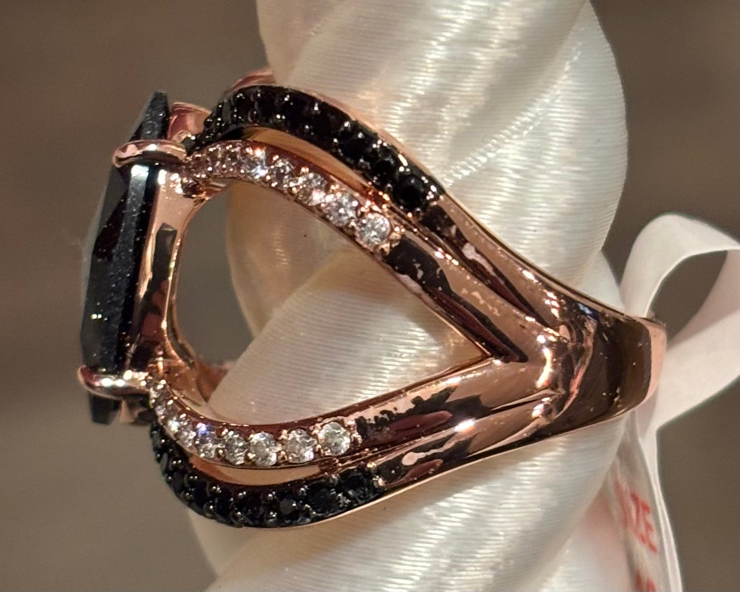 BP The Snare Game Size 10 Untamed Collection