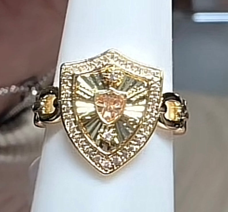 BP The Guardian  Ring Size 9 November 2026 Preorder