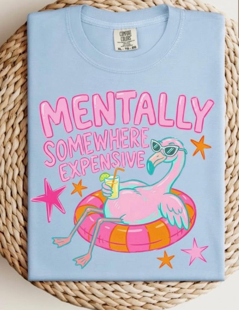 Mentally Somewhere Expensive TShirt