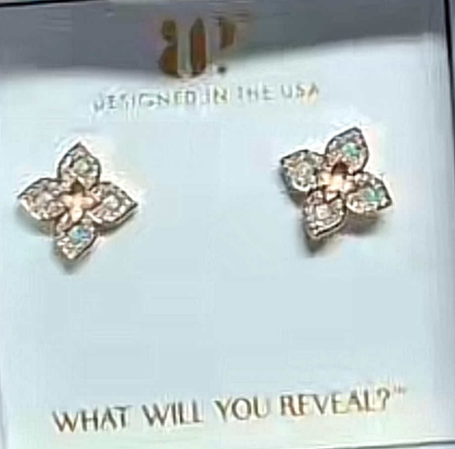 BP Designer Agenda Studs  Earrings October 2026 Preorder