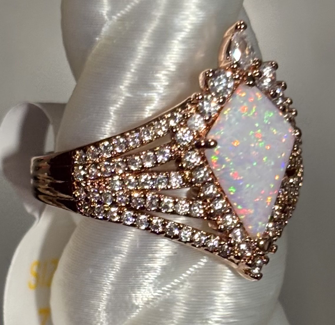 BP Reign In Reflection Size 7 October 2025